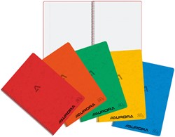 Schrift Aurora A4 ruit 5x5mm 120 pagina's 80gr assorti