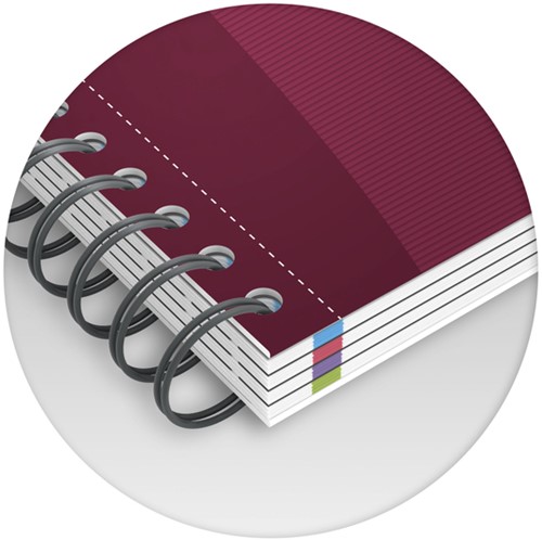 Collegeblok Oxford Office Essentials Europeanbook A4+ 4-gaats 120 pagina's assorti-9