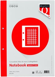 Cursusblok Quantore A4 ruit 5mm met kantlijn 200 pagina's 80gr