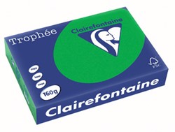 Kopieerpapier Trophee 1007 A4 160gr biljartgroen 250vel