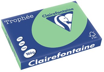 Kopieerpapier Trophee 1119 A3 160gr natuurgroen 250vel