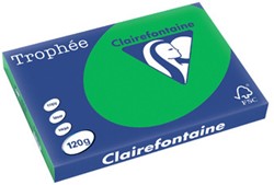 Kopieerpapier Trophee 1272 A3 120gr biljartgroen 250vel