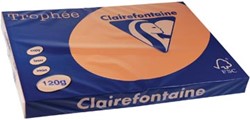 Kopieerpapier Trophee 1276 A3 120gr abrikoos 250vel