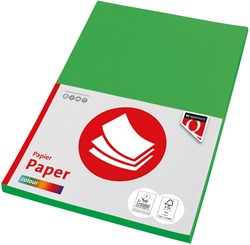 Kopieerpapier Quantore Colour A4 160gr grasgroen 50 vel
