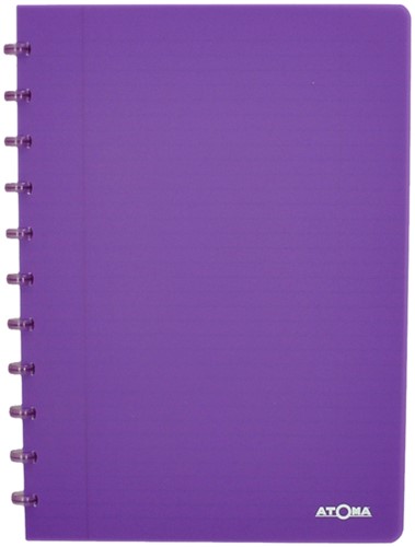 Schrift Atoma A4 ruit 4x8mm 144blz 90gr PP transparant assorti-1