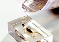 Giethars Voss GTS polyester 500gr + verharder-2