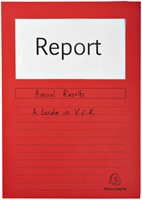 Venstermap Exacompta Forever L-model 120gr assorti 10 stuks-10