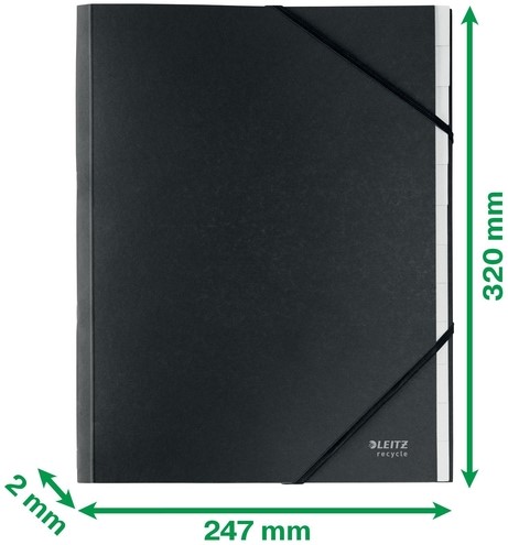 Sorteermap Leitz Recycle 12 tabs karton zwart-1