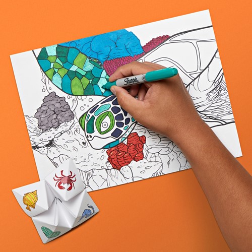 Viltstift Sharpie rond fijn assorti blister à 12 stuks-2