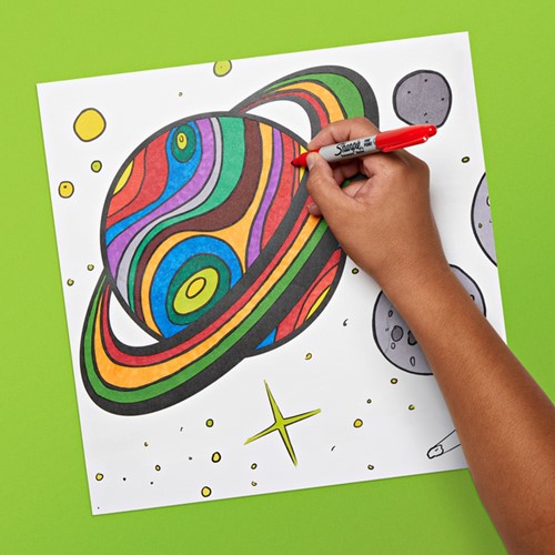 Viltstift Sharpie rond fijn assorti blister à 12 stuks-3