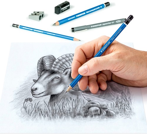 Potlood Staedtler Design Journey schetsset 12-delig-2