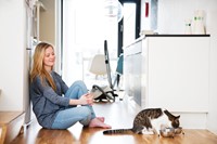 Stofzuiger Nilfisk One Allergy 750W 3.1L-2