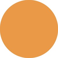 Fineliner STABILO point 88/85 fijn papaya-3