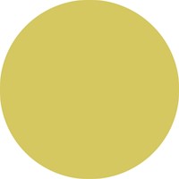 Fineliner STABILO point 88/67 fijn mosterd-3