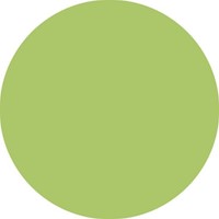 Brushstift STABILO Pen 568/34 pistache-3