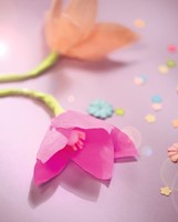 Crêpepapier Folia 50x250cm 10vel 154 donkerroze-3