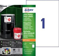 Etiket Avery B4775-50 210x297mm polyethyleen wit 50 etiketten-2