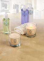 Etiket Avery L7784-25 210x297mm transparant 25 stuks-2