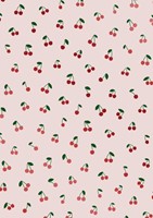 Inpakpapier Stewo Fresh Patterns 200x70cm assorti-2