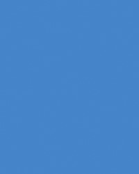 Etalagekarton Folia 1-zijdig 48x68cm 380gr nr312 middenblauw