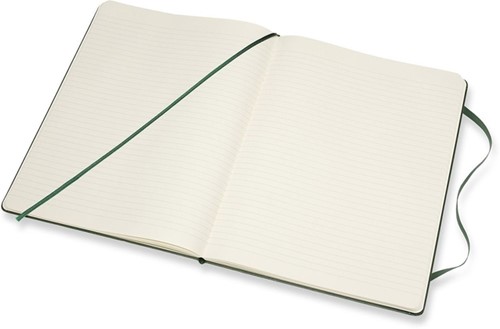Notitieboek Moleskine XL 190x250mm blanco hard cover myrtle green-3