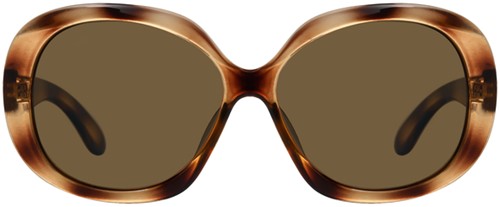 Zonnebril Montana met bruin gepolariseerd glas glans demi