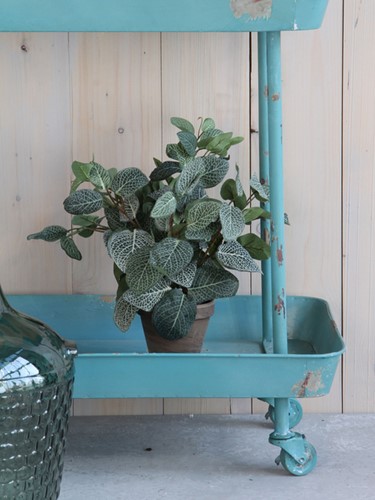 Kunstplant Mica Pilea in pot Ø11,5cm 35x25cm-2