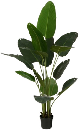 Kunstplant Mica Bananen boom in plastic pot 180x30cm