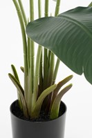 Kunstplant Mica Bananen boom in plastic pot 180x30cm-2