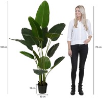 Kunstplant Mica Bananen boom in plastic pot 180x30cm-3