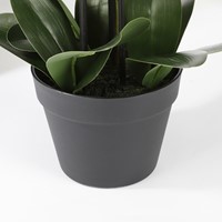 Kunstplant Mica Phalaenopsis orchideeën wit in plastic pot 79x51cm-3
