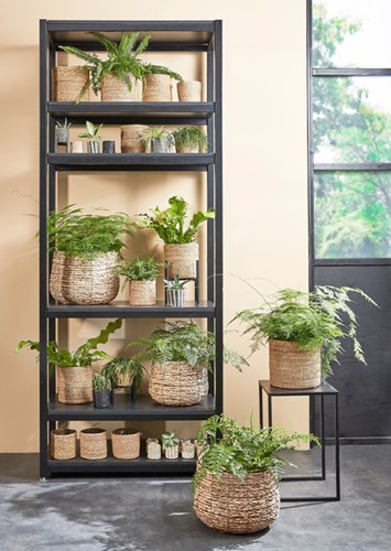 Plantenmand Mica Avalon zeegras rond 26x26cm lichtbruin-2