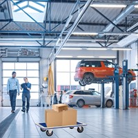 Transportkar BRASQ zonder duwbeugel 300kg-6