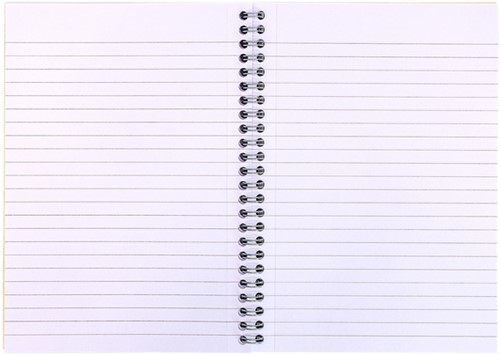 Notitieboek Pukka Pad Jotta A5 lijn 110 pagina's 80gr groen-2