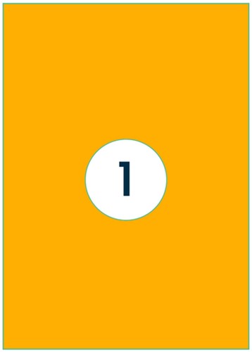 Etiket Rillprint 210x297mm fluor oranje 100 stuks