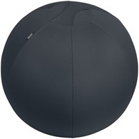 Actieve zitbal Leitz Ergo 65cm anti-rol donkergrijs