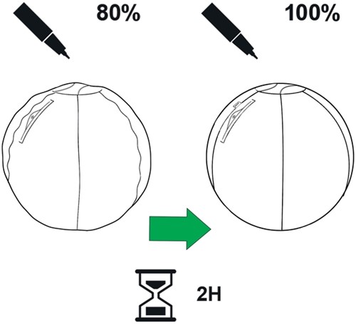 Actieve zitbal Leitz Ergo 75cm anti-rol donkergrijs-2