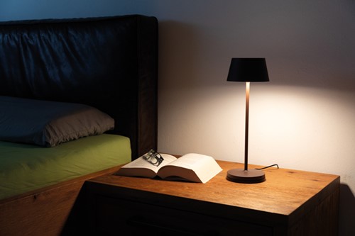 Tafellamp MAUL Nina LED oplaadbaar dimbaar bruin-1