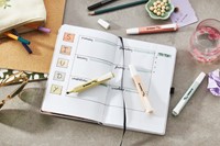 Markeerstift STABILO Swing cool nature colors amber-3