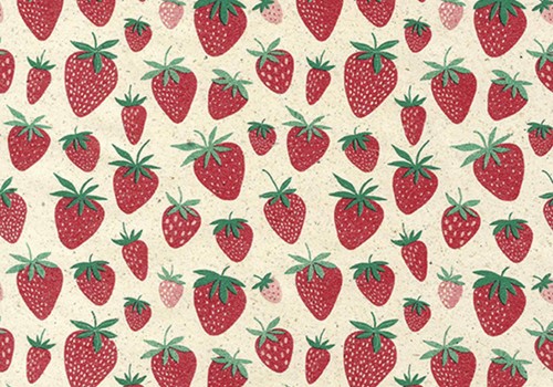 Apparaatrol Strawberry 200mx30cm