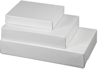 Postpakketbox Smartboxpro 510x310x100mm wit-2