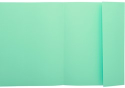Vouwmap Exacompta A4 240x320 met omslagklep lichtgroen p/50