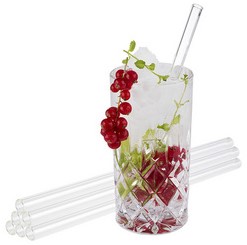 Rietje APS glas Ø10mm 210mm 7 stuks