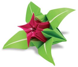 Vouwblaadjes Folia 80g/m² 10x10cm assorti pak à 96 vel-2