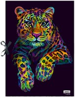 Tekenmap RNK Verlag 44x62cm karton A2 Neon-2