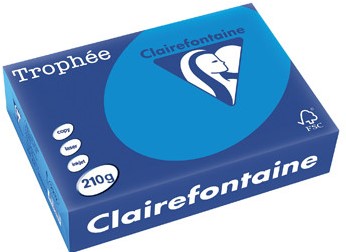Kopieerpapier Trophee 2212 A4 210gr cariben 250vel
