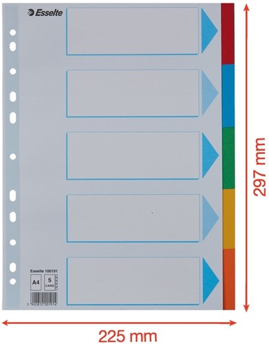 Tabbladen Esselte Standaard A4 5-delig karton 11-rings met voorblad assorti-5