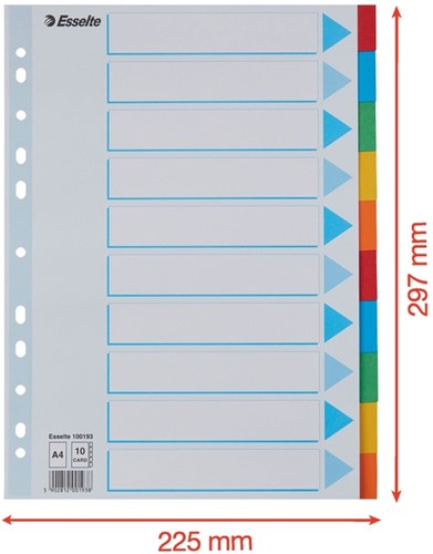 Tabbladen Esselte Standaard A4 10-delig karton 11-rings met voorblad assorti-5