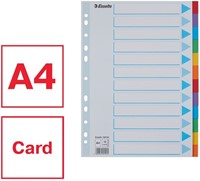 Tabbladen Esselte Standaard A4 12-delig karton 11-rings met voorblad assorti-6