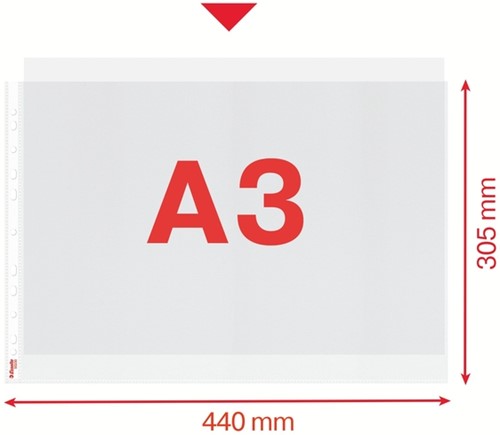 Showtas Esselte PP A3 11-gaats dwars 50 stuks-5